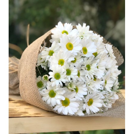 Beyaz Papatya Buketi